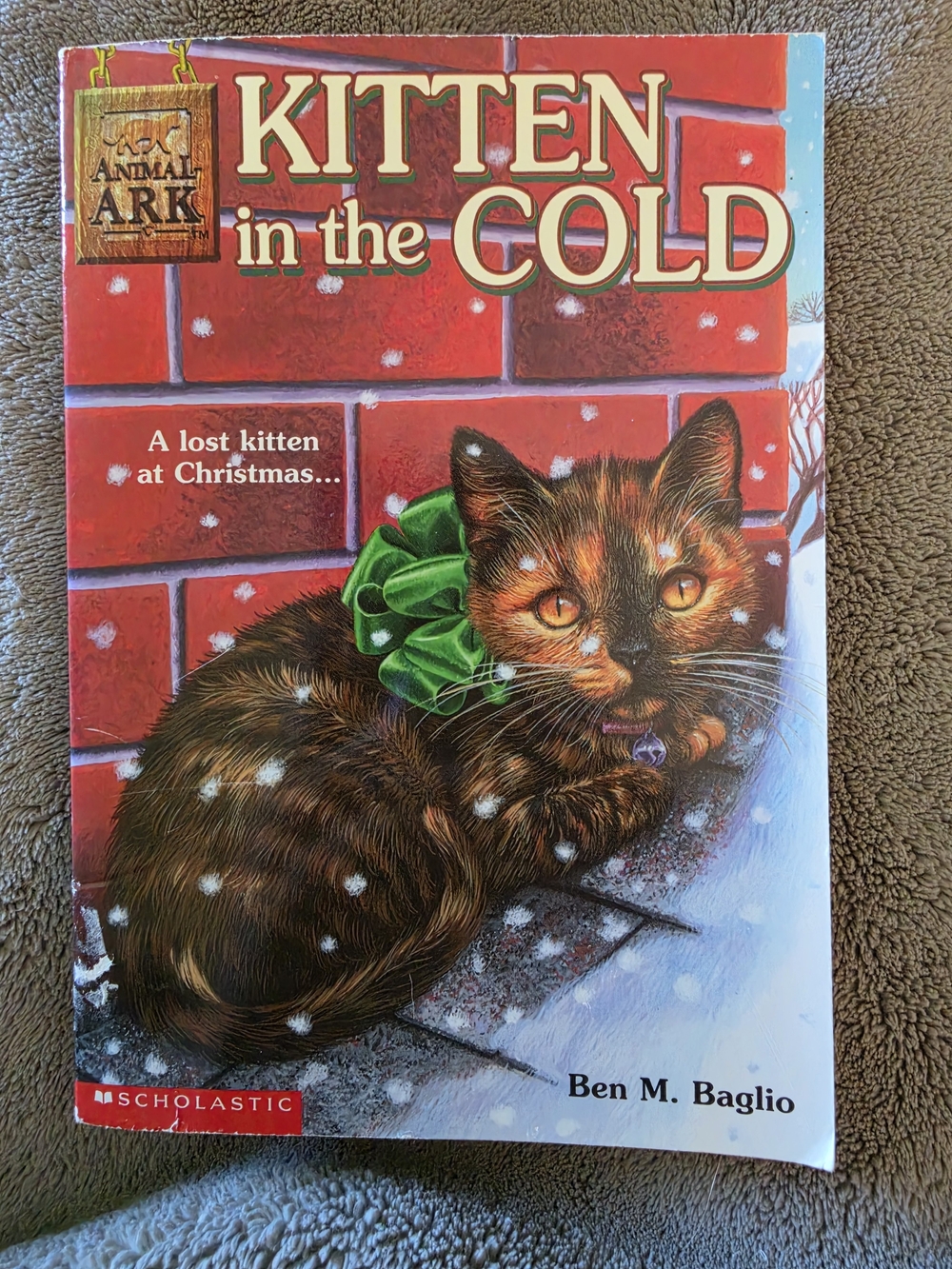 Kitten in the Cold (Animal Ark #13) by Ben M. Baglio